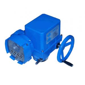 EMG-DREHMO 電動執(zhí)行器 DPIM1-S-DCS