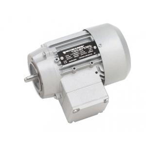Walther Flender三相交流電機 B1463B-1500 L00908