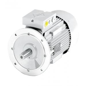 VEM電機(jī) IE2-WE1R 160M 4 TPM HW