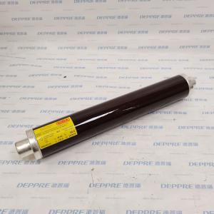 SIBA高壓熔斷器3002443.63