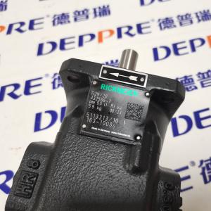 RICKMEIERR25/20 FL-Z-DB16-W-G1-R-SO 332586-7 齒輪泵