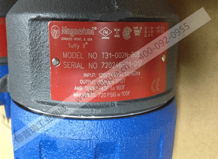 Magnetrol液位開(kāi)關(guān)T31-002N-BOB