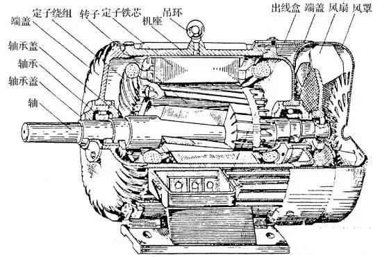 異步電動機(jī)的結(jié)構(gòu)圖