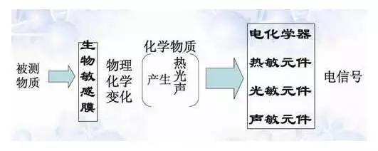 生物傳感器