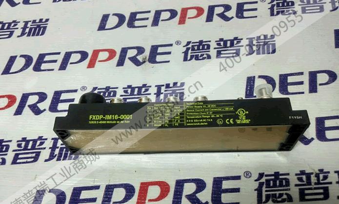 TURCK 現(xiàn)場總線 FXDP-IM16-0001